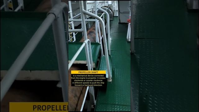 Huge Main Engine Propeller Shaft Of M/V Zim Iberia