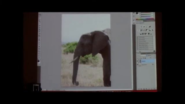 Adobe Creative Suite 5: guarda il video con le istruzioni "IMMAGINI" смотреть онлайн