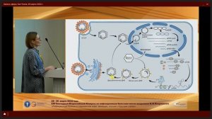 На пути к полному излечению гепатита В - препараты, находящиеся в стадии разработки