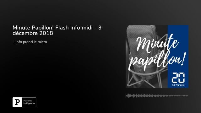 Minute Papillon! Flash info midi - 3 décembre 2018 смотреть онлайн