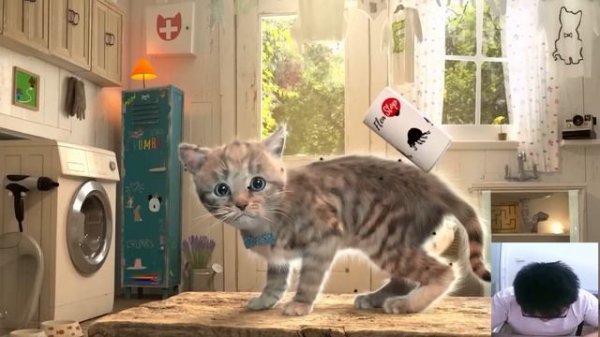 MY LITTLE KITTEN ADVENTURE - SUPER SPECIAL ADVENTURE JOURNEY OF KITTY AND WOODEN AIRPLAN