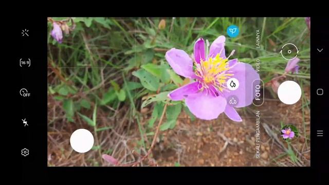Samsung A51 Camera Autofocus Speed смотреть онлайн