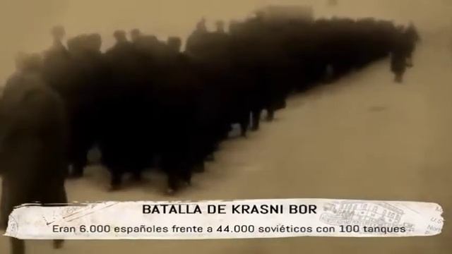 Batalla de Krasni Bor смотреть онлайн