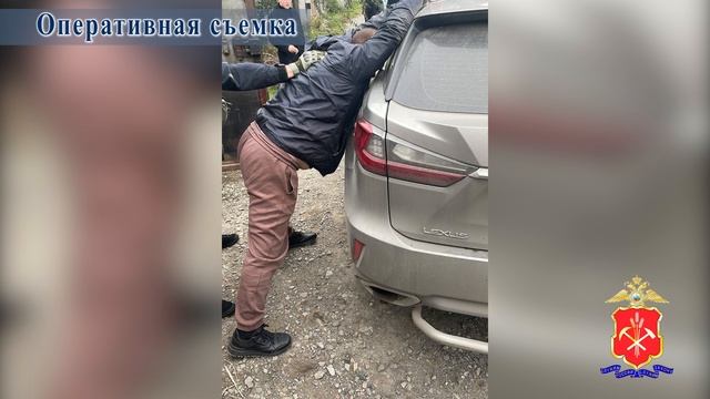 В Кузбассе сотрудники полиции пресекли деятельность склада табачной и алкогольной продукции смотреть онлайн