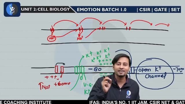 Secondary Active Transport Pump | Cell Biology : L 2 | CSIR NET Life Science смотреть онлайн