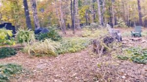 Американская мечта за городом