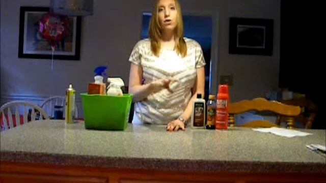 Guest Cleaning Your Home by Megan Rapp of Rappsody in Rooms смотреть онлайн