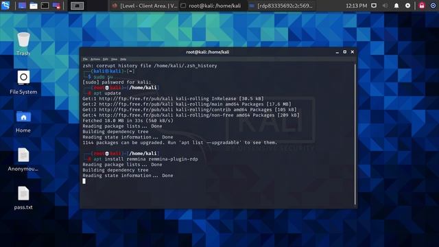 How to connect anonymous remote desktop rdp on Kali Linux using remmina смотреть онлайн