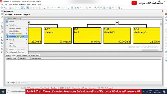 Table & Chart Views of created Resources & Customisation of Resource Window in Primavera P6 смотреть онлайн
