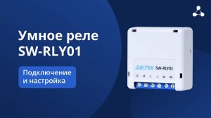 Умное реле SW-RLY01. Подключение и настройка