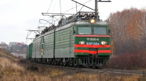 "Зеленый по зеленке". ВЛ11М-216/231 с грузовым поездом