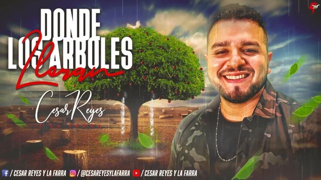 Cesar Reyes y La Farra Donde Los Arboles Lloran смотреть онлайн