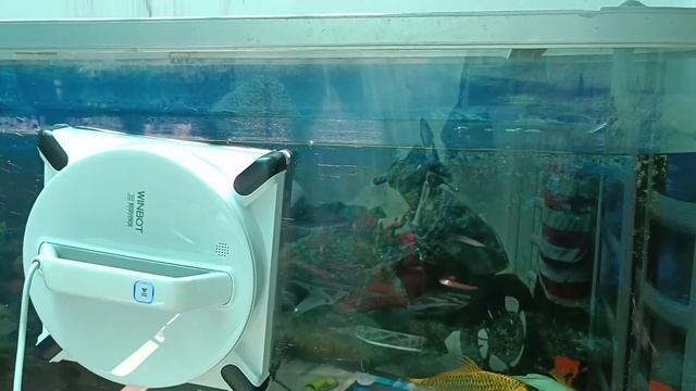 Robot lau kính có sạch và hiệu quả không? смотреть онлайн