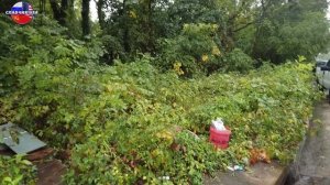 Другая сторона США. Мусор, унитазы на дороге ! Дальнобой по США