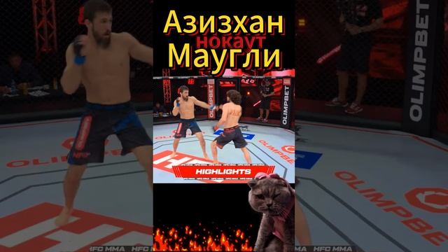 Азизхан Маугли Нокаут. смотреть онлайн