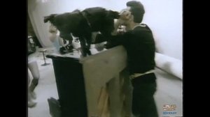 Наталья Ветлицкая - Посмотри в глаза (1991)