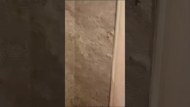 Видео WhatsApp 2024-10-10 в 11.24.54_122268c3 смотреть онлайн