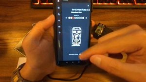 Red Team: Chameleon Ultra & GUI App Review