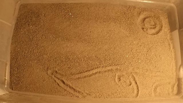 Watch an Antlion Build Cone Trap смотреть онлайн