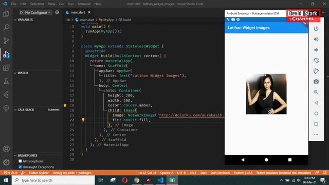 #7 Tutorial Flutter-Widget Image смотреть онлайн