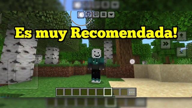 🟢Activa el Botón F5 en Minecraft PE 1.20.X | La Textura más Útil de MCPE 1.20.X!! смотреть онлайн