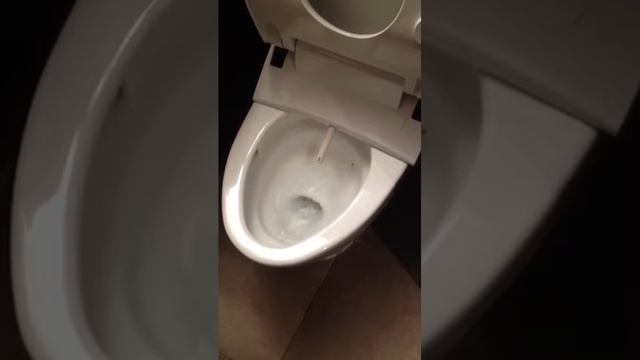 Heated seats heated anal and vagaina spray auto clean might even crap for you смотреть онлайн