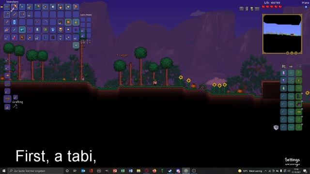 Terraria Randomizer mod смотреть онлайн