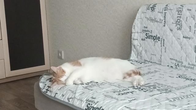 Кузя смотреть онлайн