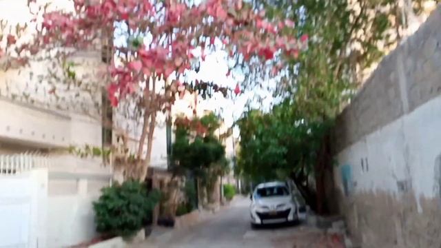 A busy day of my life/daily house chores/my daily routine/vlog 467/Sindhi смотреть онлайн