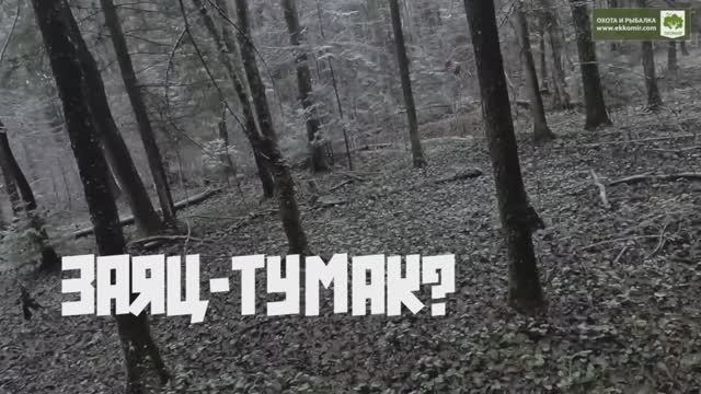 Заяц-тумак смотреть онлайн