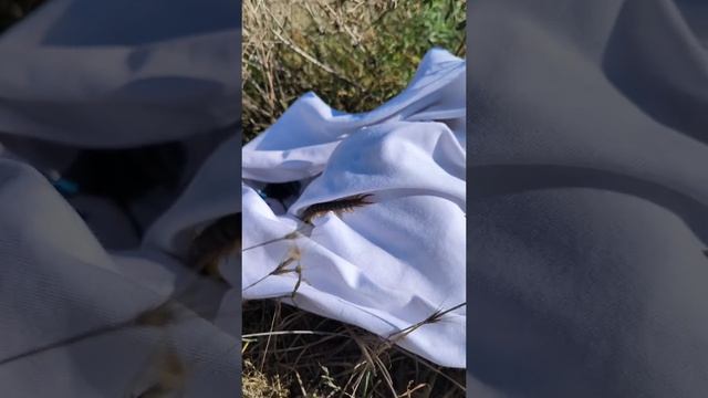 Опасный Крым. Никогда не приезжайте сюда. смотреть онлайн