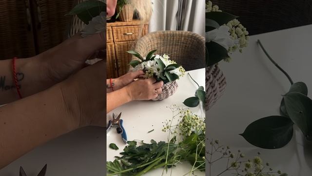 Тыква смотреть онлайн