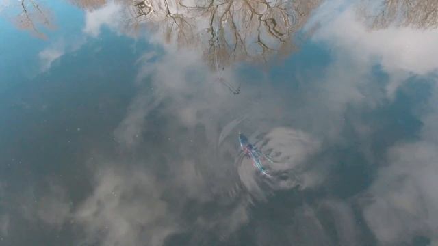 Зимний нахлыст в подмосковье. Щука есть ее не может не быть. смотреть онлайн