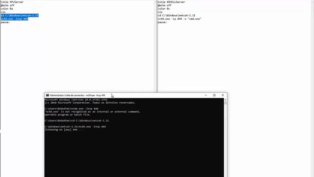 Netcat no windows смотреть онлайн