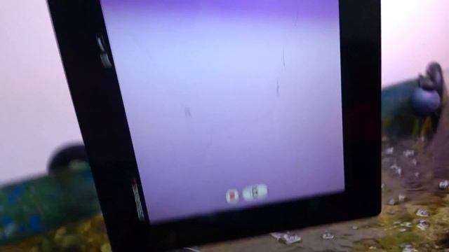 Xperia Tablet Z In A Fish tank смотреть онлайн