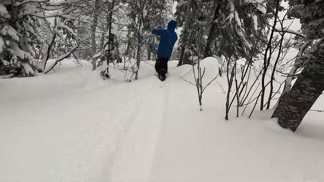 Где и когда открывать горнолыжный сезон 24/25? Шерегеш? Приисковый? Эльбрус? смотреть онлайн