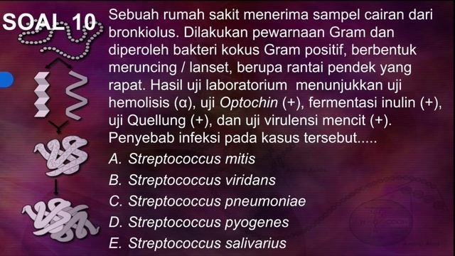 Soal ATLM Analis Kesehatan UKOM TKB SKB CPNS bagian 42 смотреть онлайн