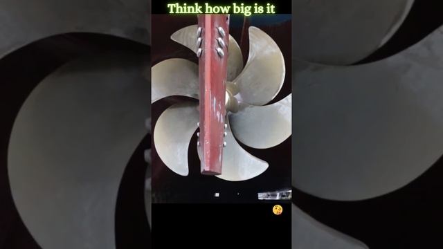 How Big The Cruise Ship Propeller #short смотреть онлайн