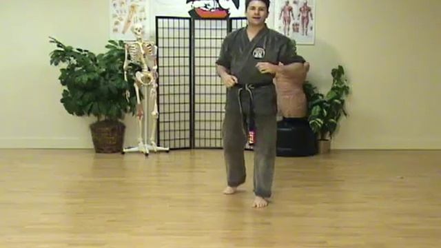 American Kenpo Karate Beginner Blocks Part 1 смотреть онлайн