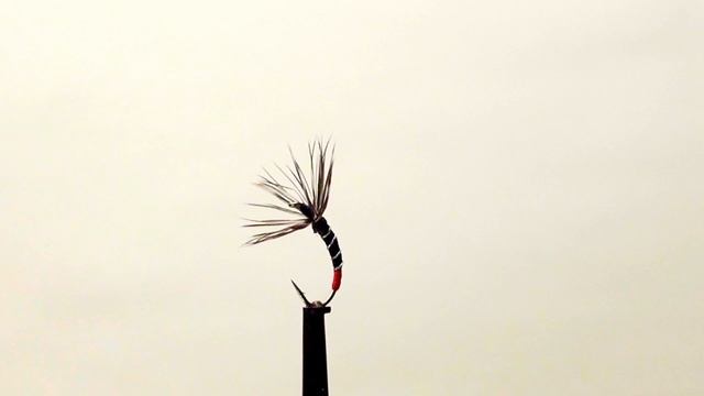 KEBARI Мушка для тенкары #106 смотреть онлайн