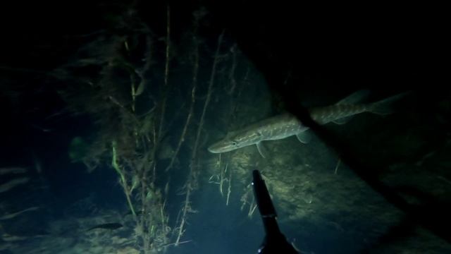 Подводная охота р.Чека. смотреть онлайн