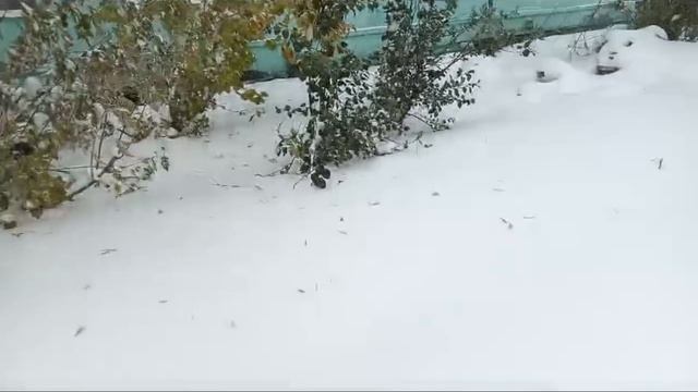 Зашла поздороваться и показать погодку ❄️❄️❄️ смотреть онлайн