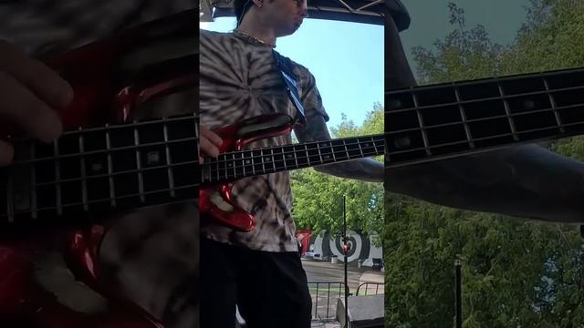Звучит как шпала и рельса! #rotosound #warwick #darkglass смотреть онлайн