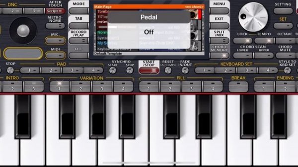 ORG 24 на iPhone.. ZURNA Զուռնա👍🏻