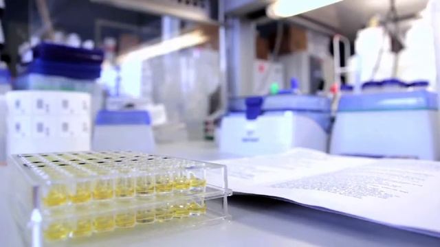 New York City Neighborhood Asthma & Allergy Study смотреть онлайн