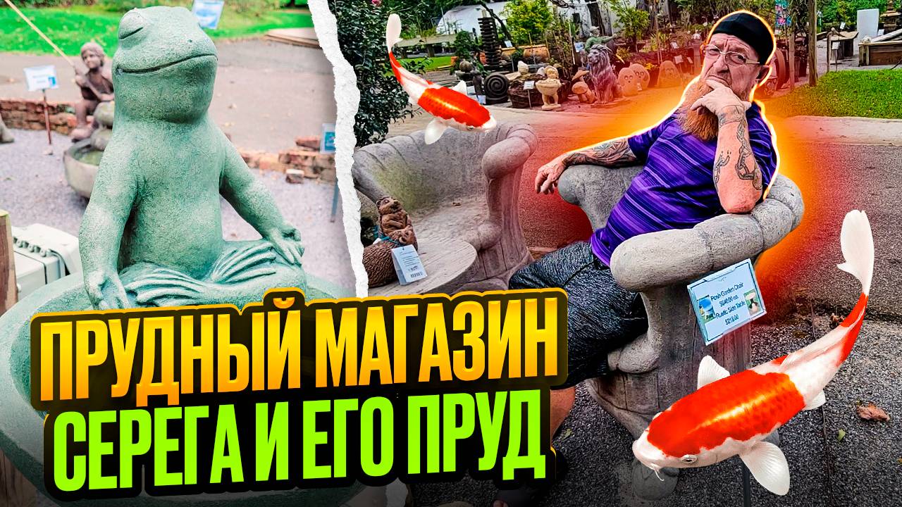 ПРОВИНЦИЯ СТАЙЛ 💲🏝МАГАЗИН ДЛЯ ПРУДА И САДА 🗽НАШ ПРУД С ТИЛАПИЕЙ И САД.🌞🌸