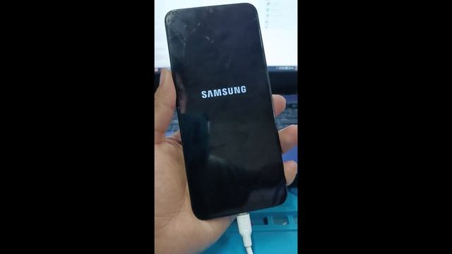 quitar cuenta google samsung A03 con pandora / frp bypass / Android 13 parche del 1 abril del 2023 смотреть онлайн