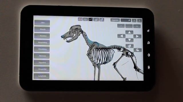 3D Dog Anatomy Software on a Android device смотреть онлайн