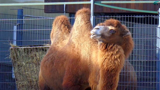Время бесценно, тратьте его с умом! смотреть онлайн