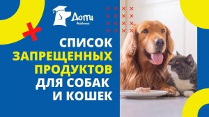 Список запрещенных продуктов для собак и кошек